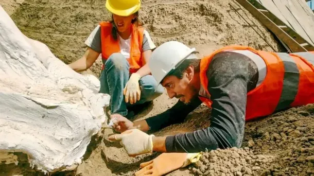 Mar del Plata: descubrieron restos de un Perezoso Terrestre Gigante