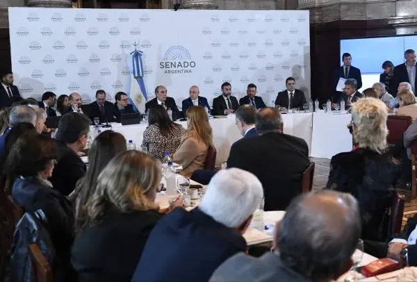 Ley Bases: el RIGI complica la votación en el Senado y el oficialismo podría regresar el proyecto a Diputados