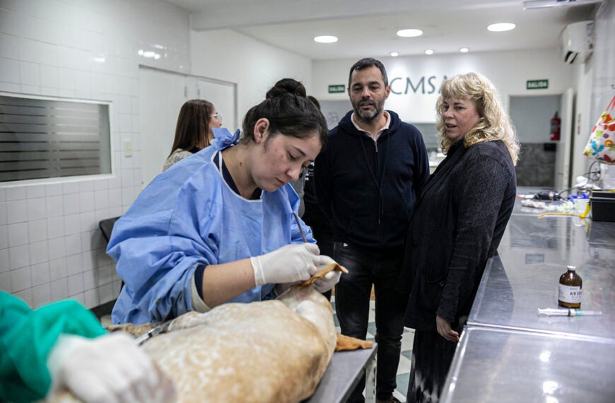 UNA DELEGACIÓN DE CÓRDOBA VISITÓ ZOONOSIS BROWN PARA CONOCER Y REPLICAR SU MODELO DE SANIDAD ANIMAL