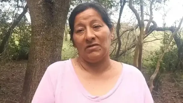 Caso Loan Danilo Peña: declaró Laudelina y quedó detenida acusada de coautora en la “sustracción de menores”