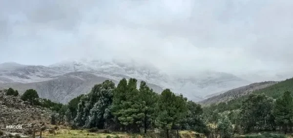 Los videos de la llegada de la nieve a Buenos Aires: dónde nevó y cómo sigue el clima