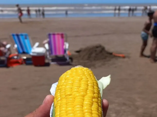 Indignación por el precio del choclo en las playas de Mar del Plata: “Se los van a meter…”