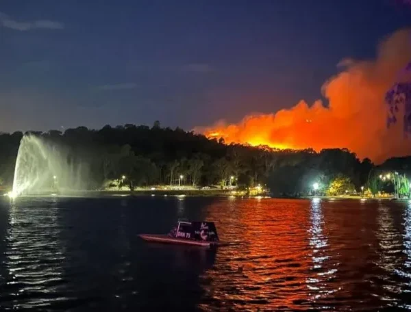 Un incendio forestal puso en alerta a Tandil: cómo está la situación
