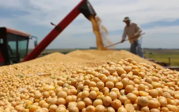 El Gobierno oficializó la baja de las retenciones pero impuso una condición a los productores