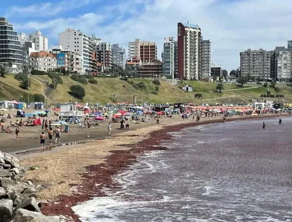 Costa Atlántica: por qué cambió de color el mar