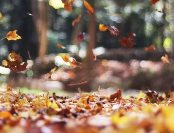 Clima hoy en Buenos Aires: el pronóstico del tiempo para el lunes 21 de abril